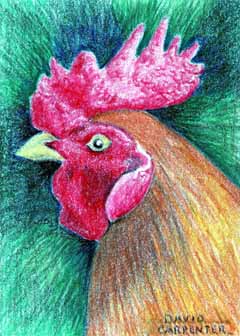 "Chicken Little" by David Carpenter, Madison, WI - Colored Pencil